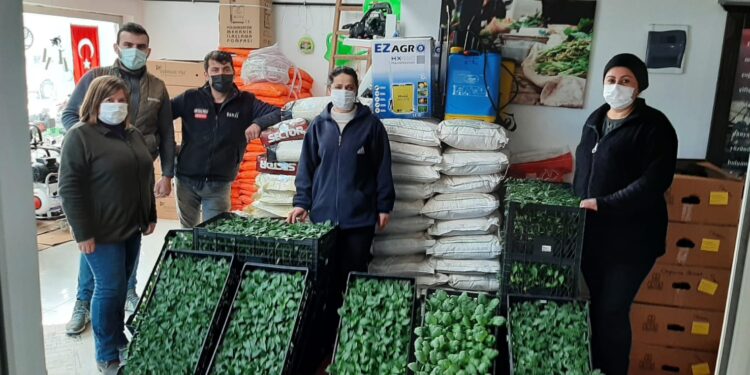 ÇAYCUMA ZİRAAT ODASI’NDA FİDE SATIŞLARI BAŞLADI