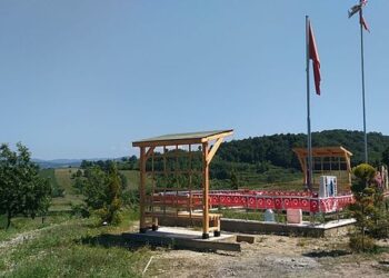 ŞEHİDE VEFA