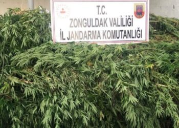 20 BİN GR ESRAR ELE GEÇİRİLDİ