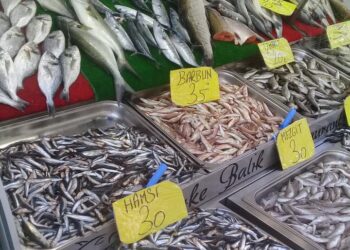 Av sezonu açıldı, işte balık fiyatları…