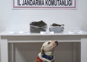 Perşembe’de zehir tacirlerine operasyon!