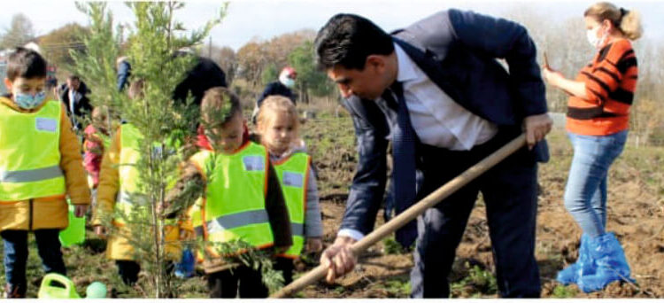 ŞEHİT ÖĞRETMENLER VE TÜM ÖĞRETMENLER İÇİN BİR FİDAN
