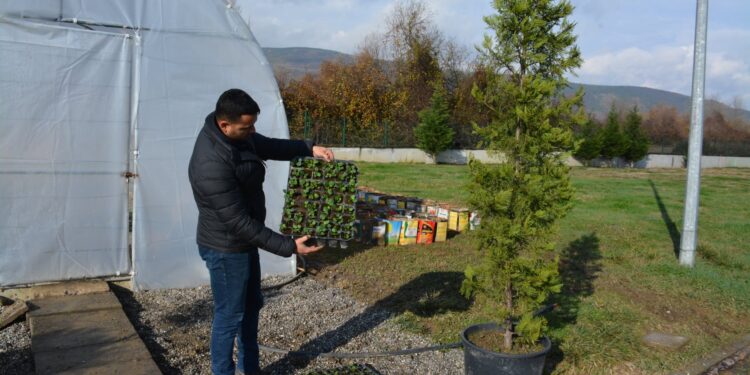 100 bin çiçek, 20 binden fazla ağaççık üretiliyor