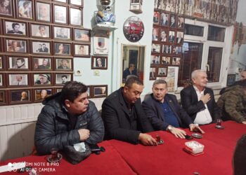 MHP Şeyhler ve Yolgeçen köylerine çıkarma yaptı