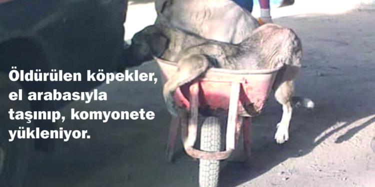 PERŞEMBE’DE DEHŞET VERİCİ İDDİALAR!