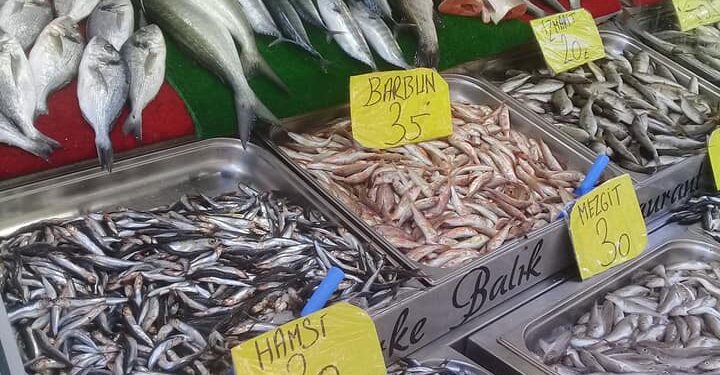 Av sezonu açıldı, işte balık fiyatları…