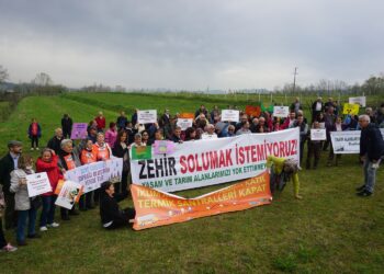 “Bu akıldışılığı durdurun”