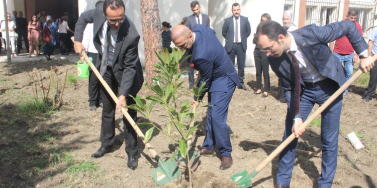Adliye bahçesinde fidan dikimi yapıldı